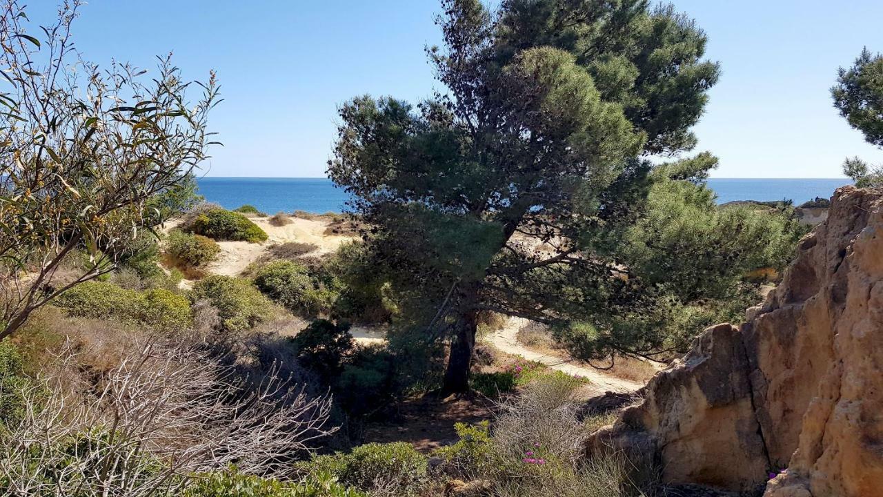 אלבופיירה Magnific Studio With A Cozy Garden, 5 Minutes To The Beach מראה חיצוני תמונה